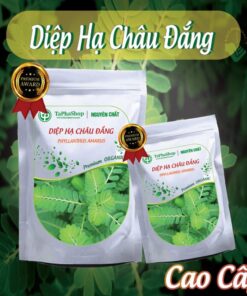 Hướng dẫn sử dụng diệp hạ châu đắng hiệu quả