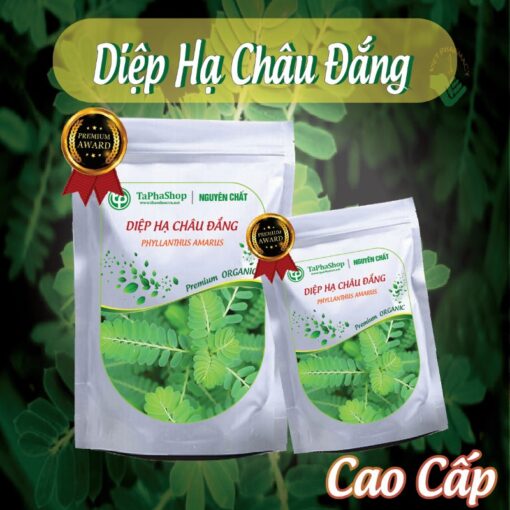 Hướng dẫn sử dụng diệp hạ châu đắng hiệu quả