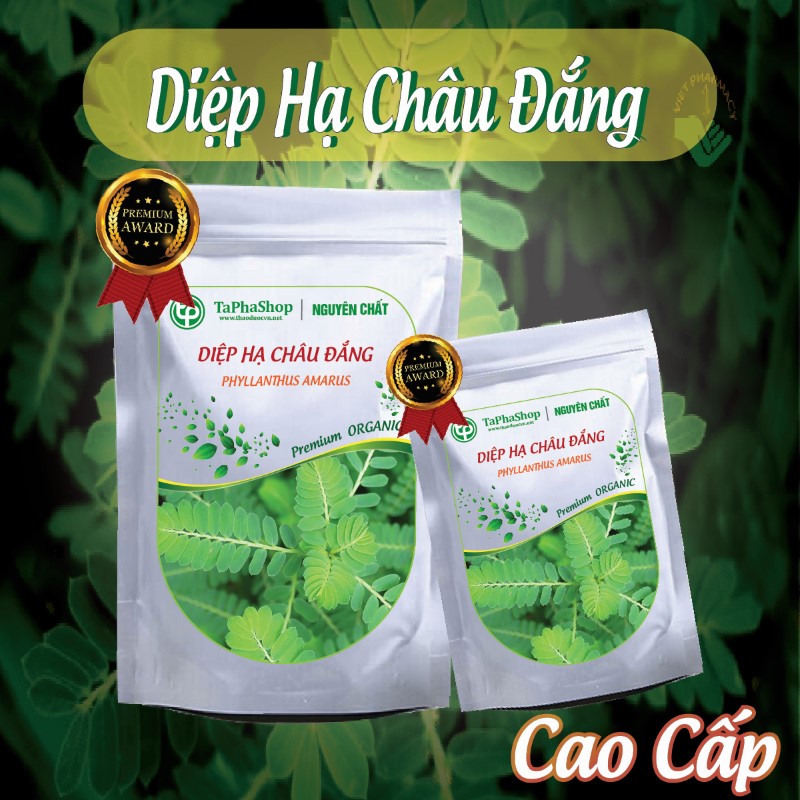 Hướng dẫn sử dụng diệp hạ châu đắng hiệu quả