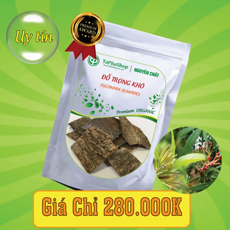 Lợi ích của đỗ trọng trong việc hỗ trợ điều trị đau lưng, đau xương khớp
