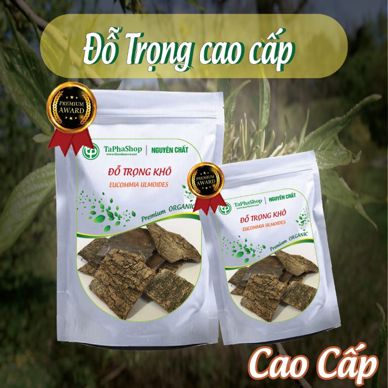 Cách sử dụng đỗ trọng hỗ trợ điều trị đau lưng