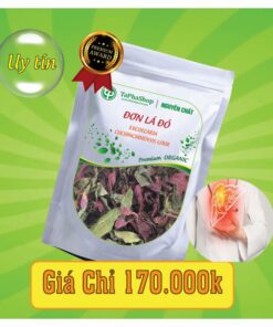 Đơn lá đỏ có tác dụng gì đối với bệnh viêm gan?
