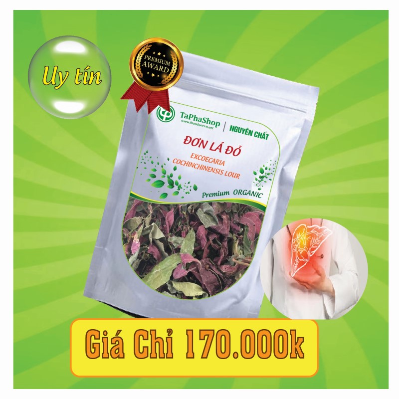 Đơn lá đỏ có tác dụng gì đối với bệnh viêm gan?