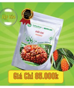 Công dụng của dứa dại trong việc điều trị sỏi thận