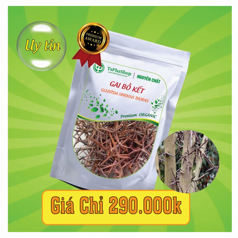 Công dụng của gai bồ kết hỗ trợ điều trị viêm xoang