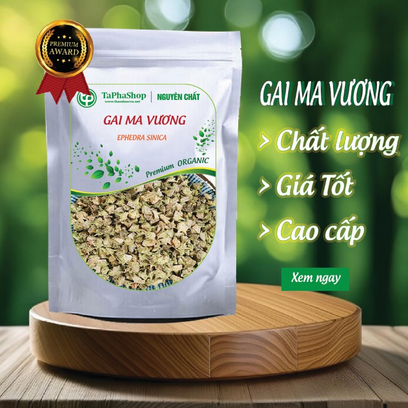Gai ma vương của Tấn Phát