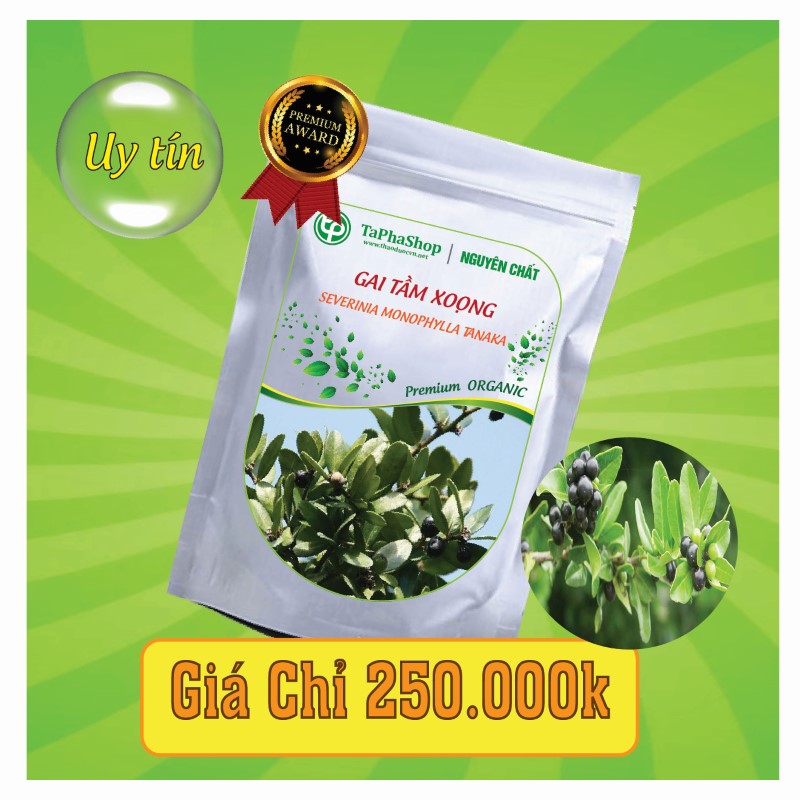Công dụng của gai tầm xoọng trong việc hỗ trợ điều trị đau xương khớp