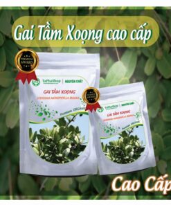 Cách sử dụng gai tầm xoọng hỗ trợ điều trị đau xương khớp hiệu quả