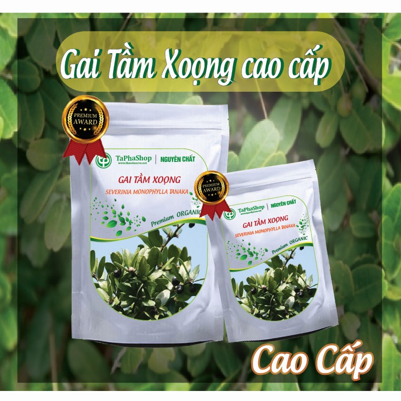Cách sử dụng gai tầm xoọng hỗ trợ điều trị đau xương khớp hiệu quả