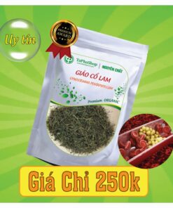 Hướng dẫn sử dụng giảo cổ lam an toàn, hiệu quả tại nhà