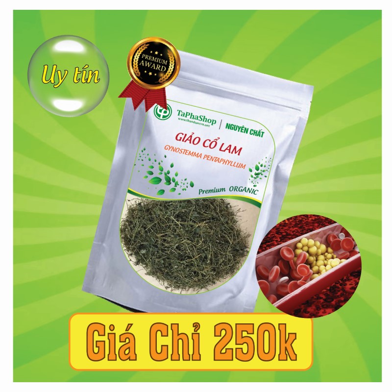 Hướng dẫn sử dụng giảo cổ lam an toàn, hiệu quả tại nhà