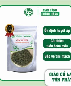 Công dụng vượt trội của giảo cổ lam trong hỗ trợ điều trị mỡ máu cao