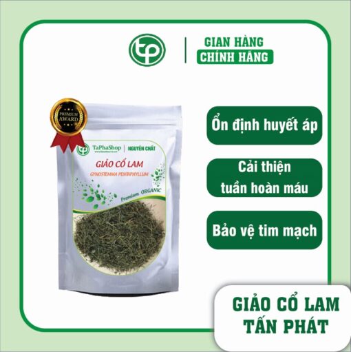 Công dụng vượt trội của giảo cổ lam trong hỗ trợ điều trị mỡ máu cao