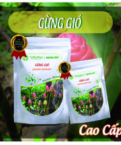 Hướng dẫn sử dụng gừng gió hỗ trợ điều trị cảm lạnh