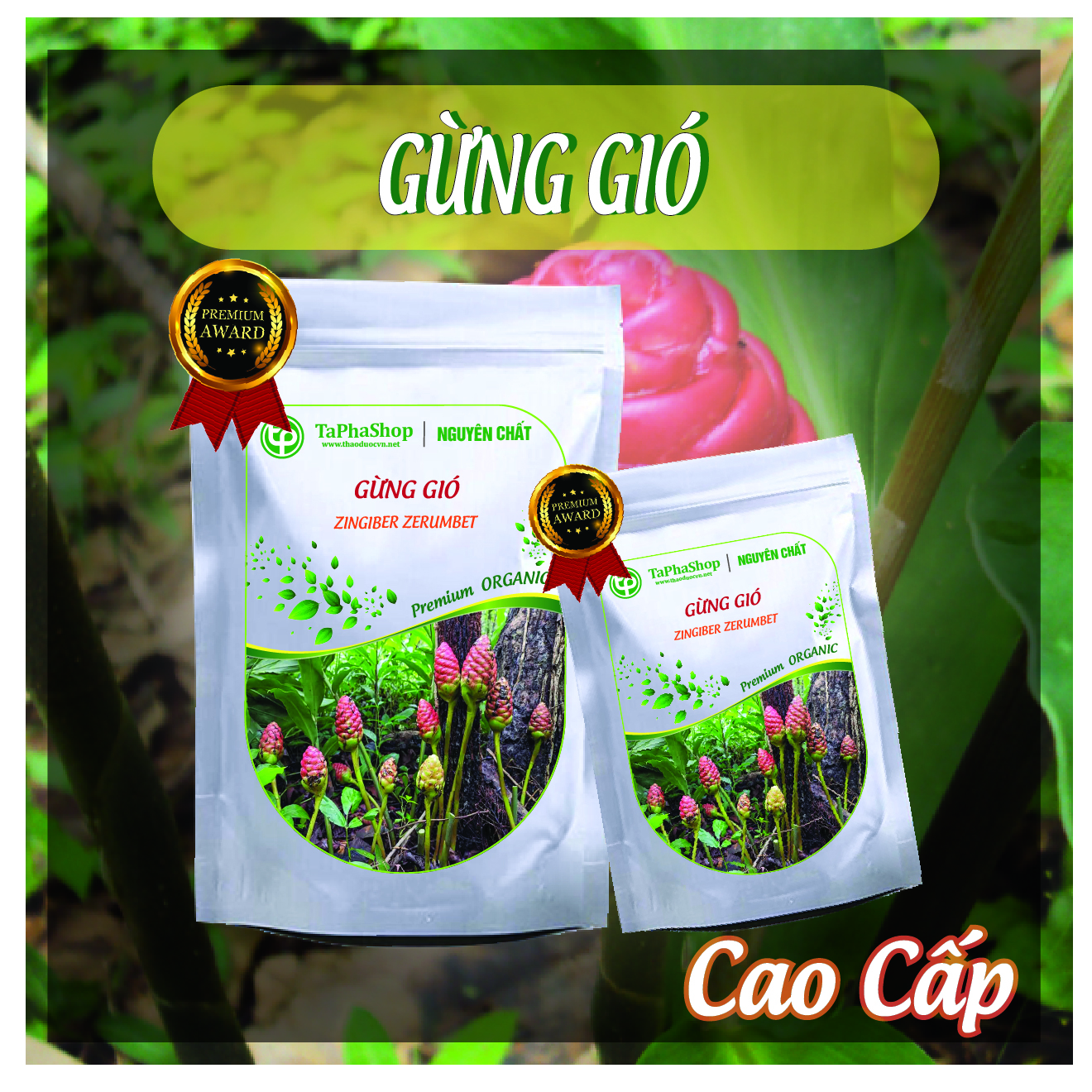 Hướng dẫn sử dụng gừng gió hỗ trợ điều trị cảm lạnh