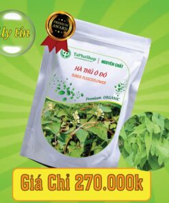 Công dụng nổi bật của hà thủ ô đỏ trong việc hỗ trợ điều trị tóc bạc sớm