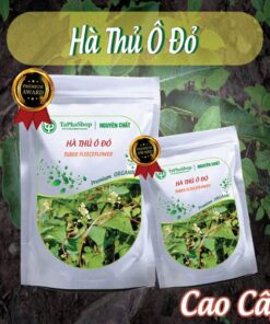 Hướng dẫn cách sử dụng hà thủ ô đỏ cho người tóc bạc sớm