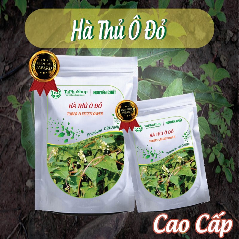 Hướng dẫn cách sử dụng hà thủ ô đỏ cho người tóc bạc sớm