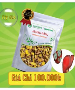 Công dụng y khoa của hoàng đằng trong hỗ trợ điều trị viêm gan