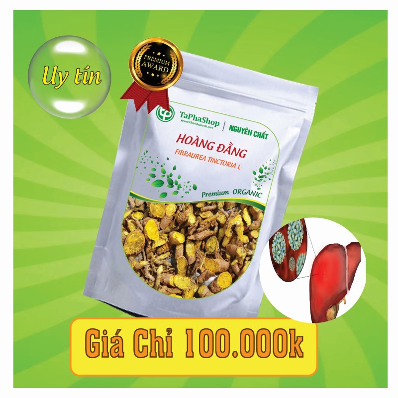 Công dụng y khoa của hoàng đằng trong hỗ trợ điều trị viêm gan