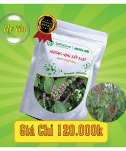 Công dụng của hương nhu sấy khô trong việc điều trị cảm cúm 