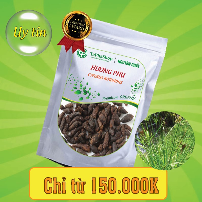 Công dụng y khoa của hương phụ hỗ trợ điều trị rối loạn kinh nguyệt