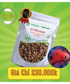 Hướng dẫn sử dụng ké đầu ngựa đúng cách 