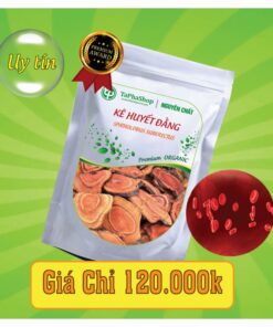 Hướng dẫn sử dụng kê huyết đằng hỗ trợ điều trị thiếu máu 