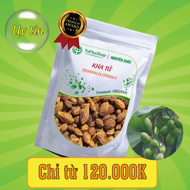 Công dụng của kha tử trong việc hỗ trờ điều trị viêm họng