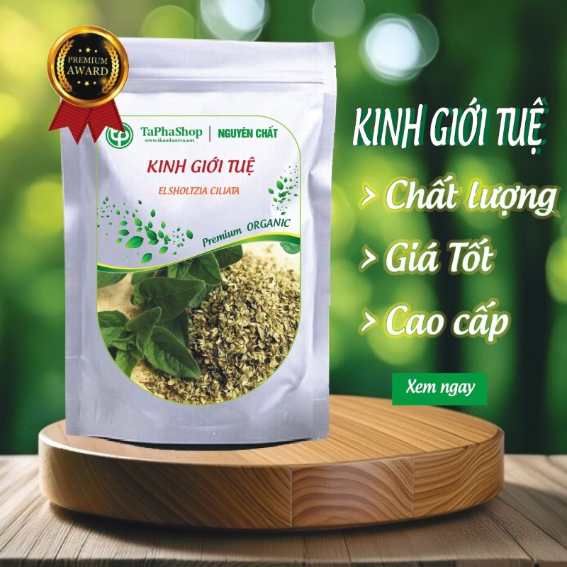 Giới thiệu sản phẩm kinh giới tuệ tại Tấn Phát 