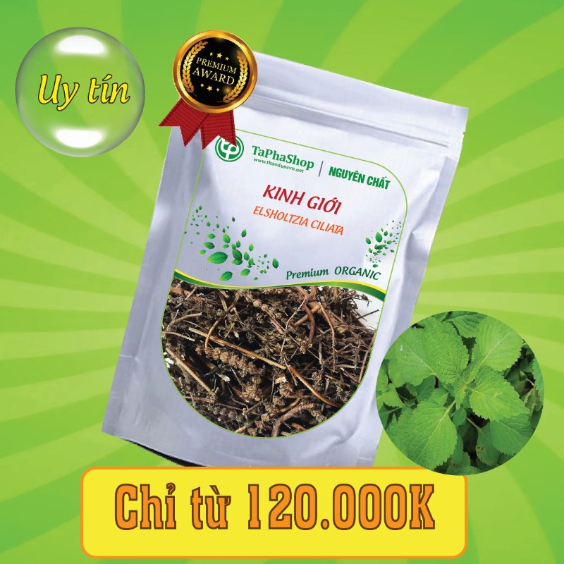 Công dụng của kinh giời trong việc hỗ trợ điều trị cảm cúm