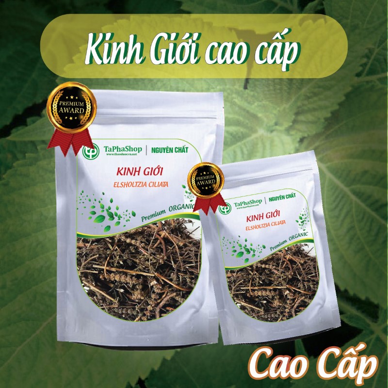 Cách sử dụng kinh giới trong điều trị cảm cúm