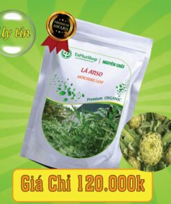 Công dụng của lá atiso đối với gan nhiễm mỡ
