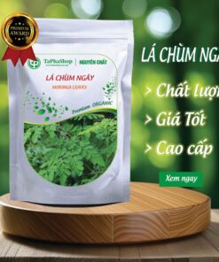 Giới thiệu lá chùm ngây Tấn Phát 