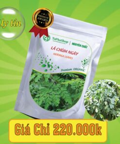Công dụng của lá chùm ngây trong việc hỗ trợ điều trị thiếu máu 