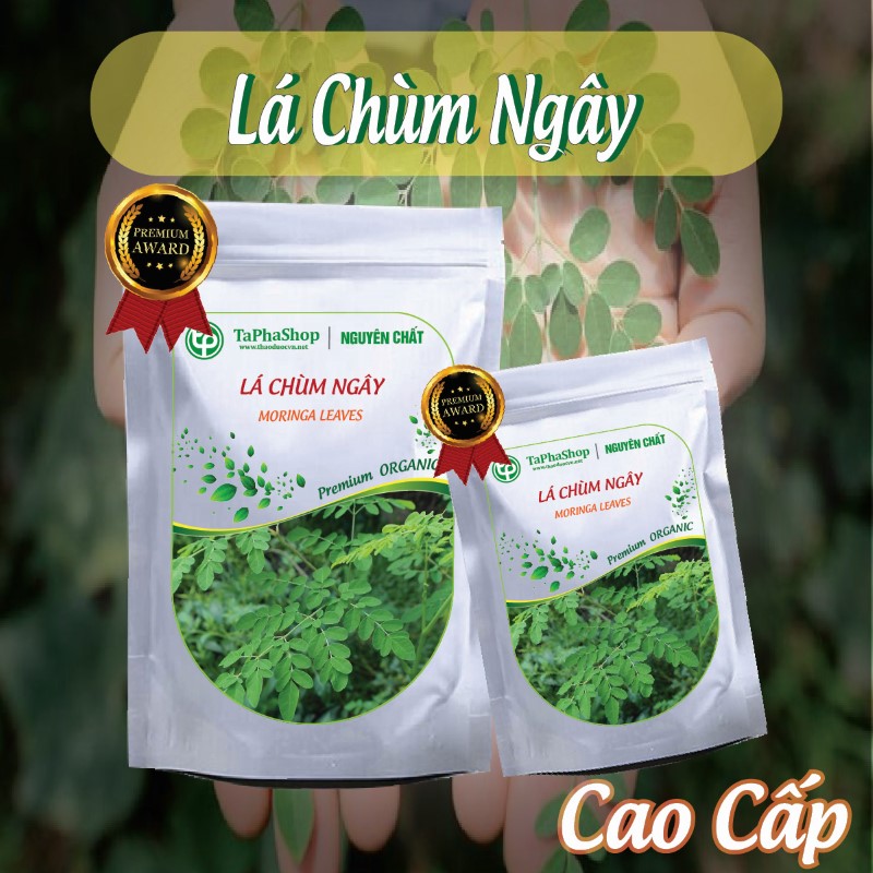 Hướng dẫn sử dụng lá chùm ngây hỗ trợ điều trị thiếu máu