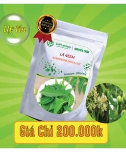 Công dụng của lá neem đối với bệnh tiểu đường