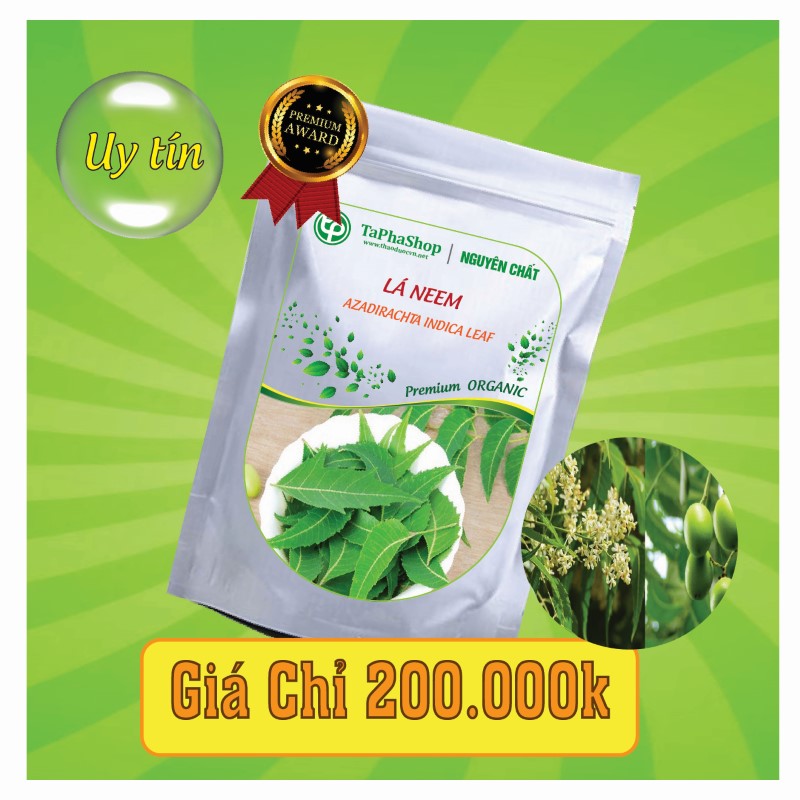 Công dụng của lá neem đối với bệnh tiểu đường