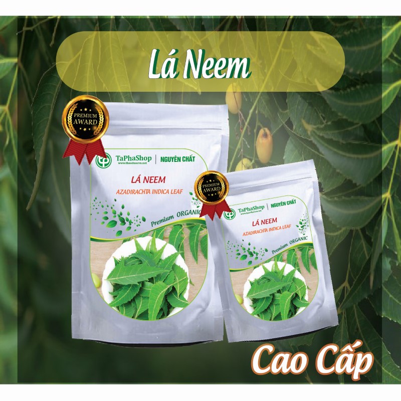 Cách dùng lá neem hỗ trợ điều trị tiểu đường hiệu quả