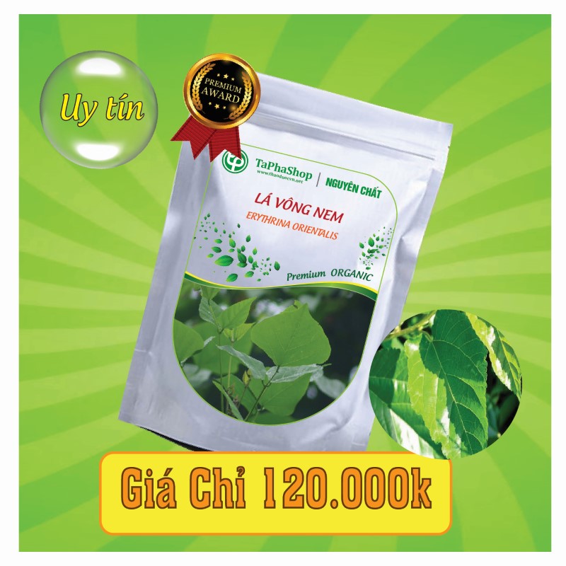 Công dụng của lá vông nem hỗ trợ điều trị mất ngủ
