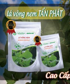 Hướng dẫn sử dụng lá vông nem hỗ trợ điều trị mất ngủ 