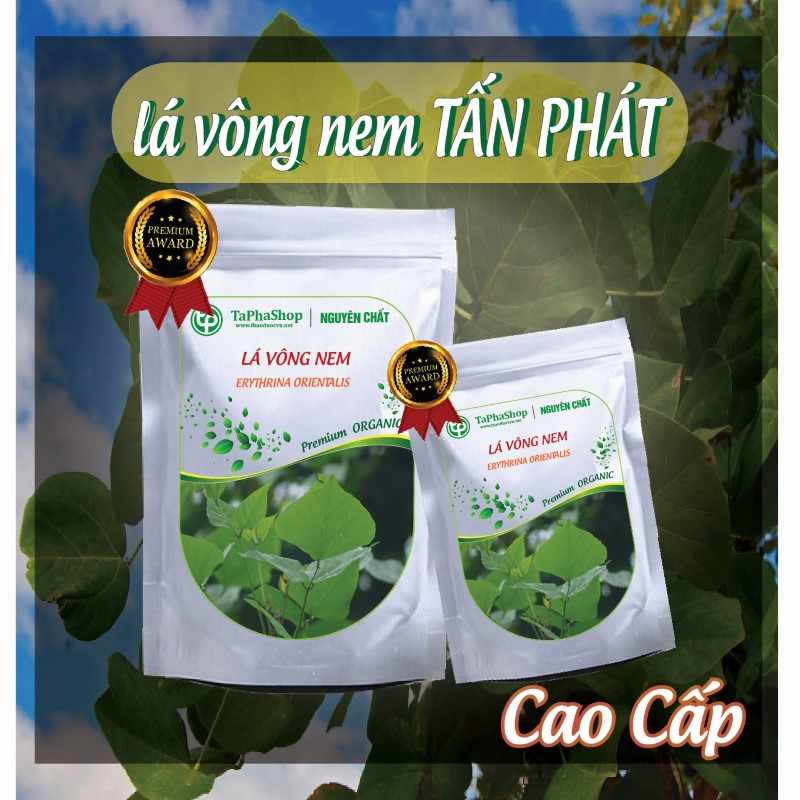 Hướng dẫn sử dụng lá vông nem hỗ trợ điều trị mất ngủ