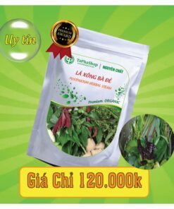 Công dụng của lá xông bà đẻ trong việc điều trị cảm lạnh