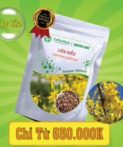 Vì sao nhiều người lại chọn liên kiều hỗ trợ điều trị viêm họng?