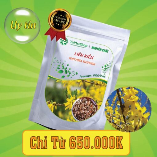 Vì sao nhiều người lại chọn liên kiều hỗ trợ điều trị viêm họng?