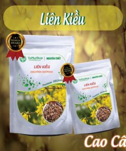 Hướng dẫn cách sử dụng liên kiều chữa viêm họng tại nhà