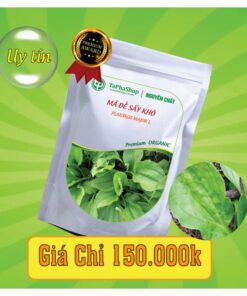 Công dụng y khoa của mã đề hỗ trợ điều trị viêm đường tiết niệu và bệnh thận