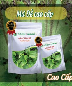 Hướng dẫn sử dụng cây mã đề hỗ trợ điều trị viêm đường tiết niệu