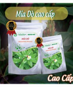 Cách sử dụng mía dò điều trị viêm xoang tại nhà 