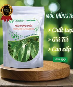 Mộc thông thảo của Tấn Phát 